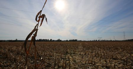 Tylko w money.pl: Plastik to niejedyny problem świata. Za rogiem jest brak wody pitnej i brudna energia - ostrzega wiceprezes P&G