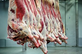Kolejne państwa odnajdują u siebie niebezpieczne mięso z Polski. Wciąż brakuje pół tony