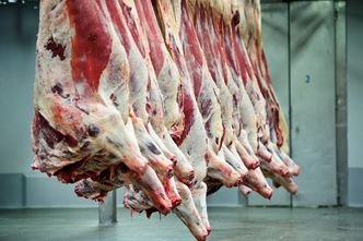 Kolejne państwa odnajdują u siebie niebezpieczne mięso z Polski. Wciąż brakuje pół tony