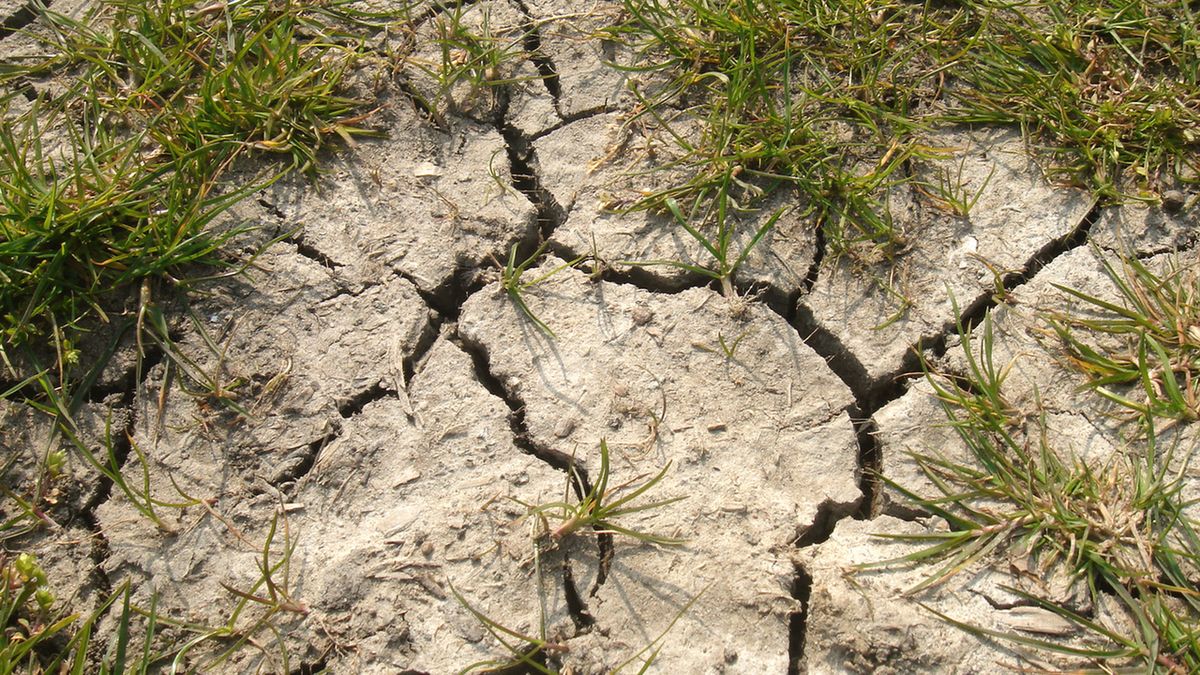 Wysychają rzeki i studnie. Susza w całym kraju.