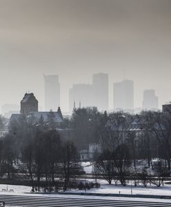 Smog Warszawa - 1 luty. Sprawdź, jaka jest dziś jakość powietrza