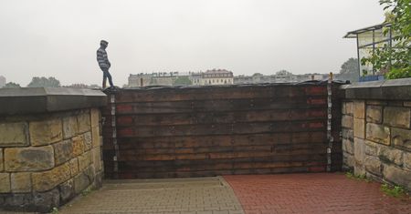 Propozycja dla Warszawy. Zamiast wycinki drzew na Wybrzeżu Helskim, chcą rozwiązania, jak w Krakowie