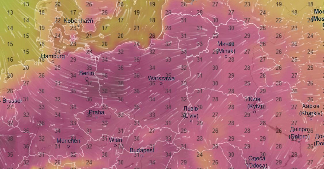 Padł rekord ciepła w czerwcu. 38,2 st. C. w Lubuskiem