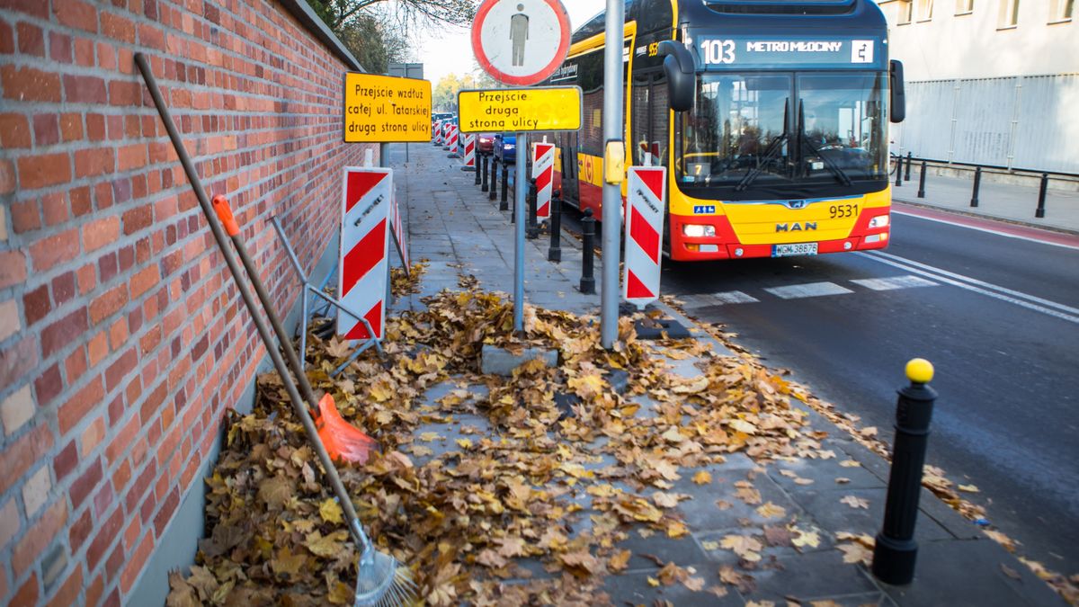Warszawa. Wszystkich Świętych 2019. Zmiana organizacji ruchu, kursowanie autobusów i tramwajów