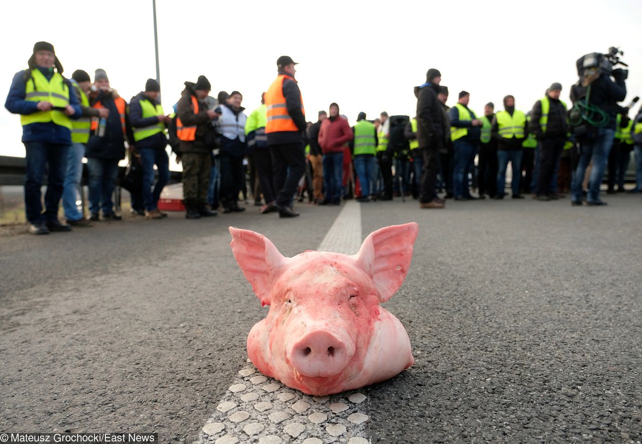 Protest rolników 2019 da się we znaki mieszkańcom Warszawy. Utrudnienia w ruchu na Krakowskim Przedmieściu