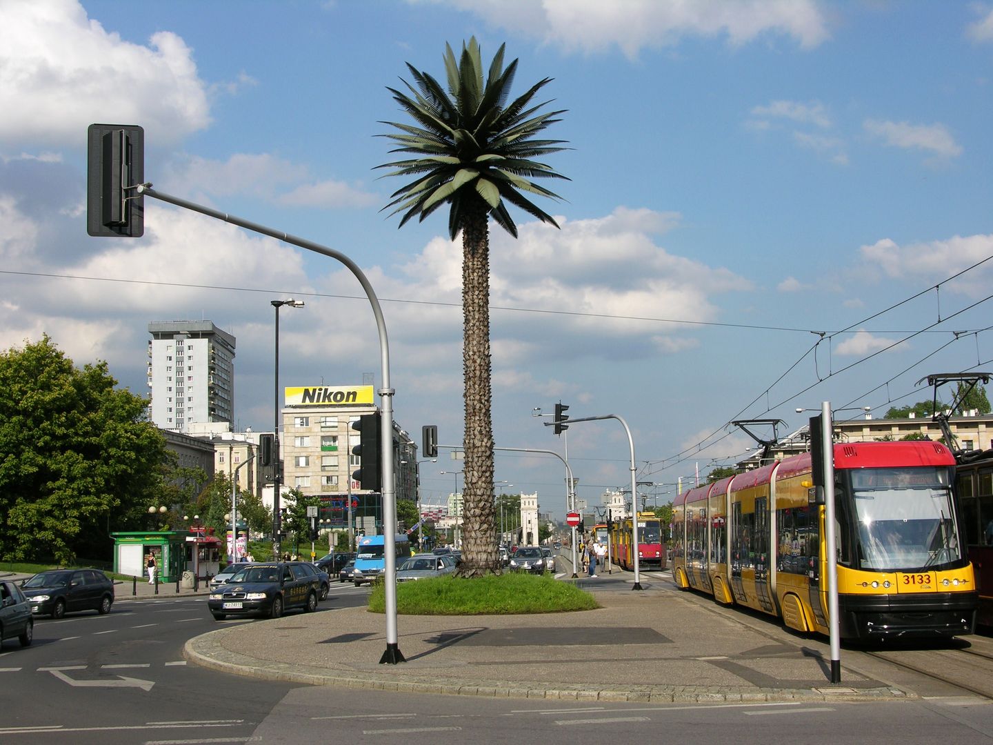 Warszawa. Palma na rondzie de Gaulle'a ma dziś urodziny