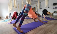 Warszawa. Karma wraca, czyli poćwiczą jogę dla bezdomnych czworonogów