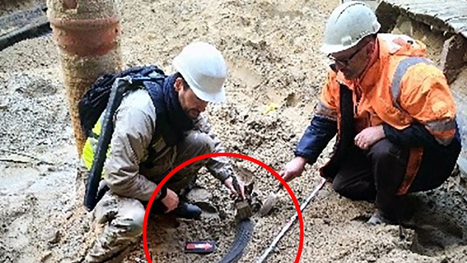 Warszawa. Pracownicy budowy metra na Bródnie odkryli szczątki tura, które mają ok. 7 tys. lat