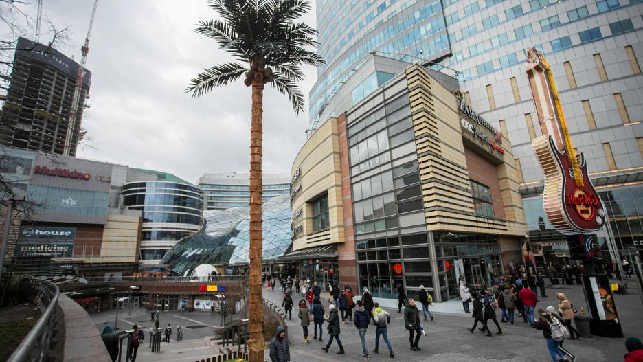 Warszawa. Nowa palma stanęła obok centrum handlowego Złote Tarasy.