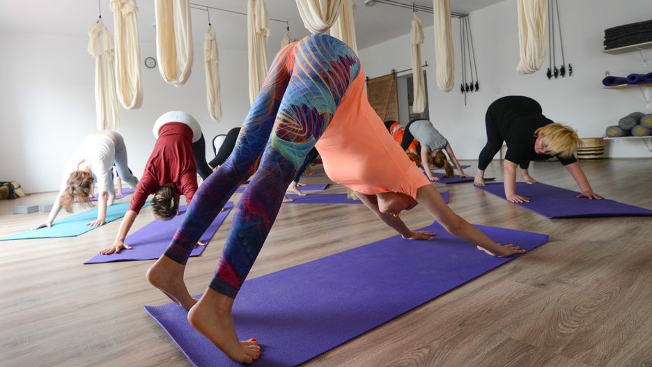 Warszawa. Akcja "Ćwiczymy jogę dla bezdomnych zwierząt" zaplanowano na 24 listopada br.