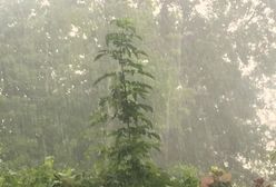 Oberwanie chmury nad Warszawą. Strugi deszczu zmoczyły stolicę