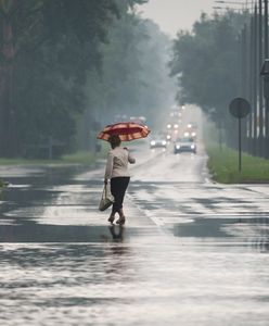 Synoptycy ostrzegają przed intensywnymi opadami deszczu