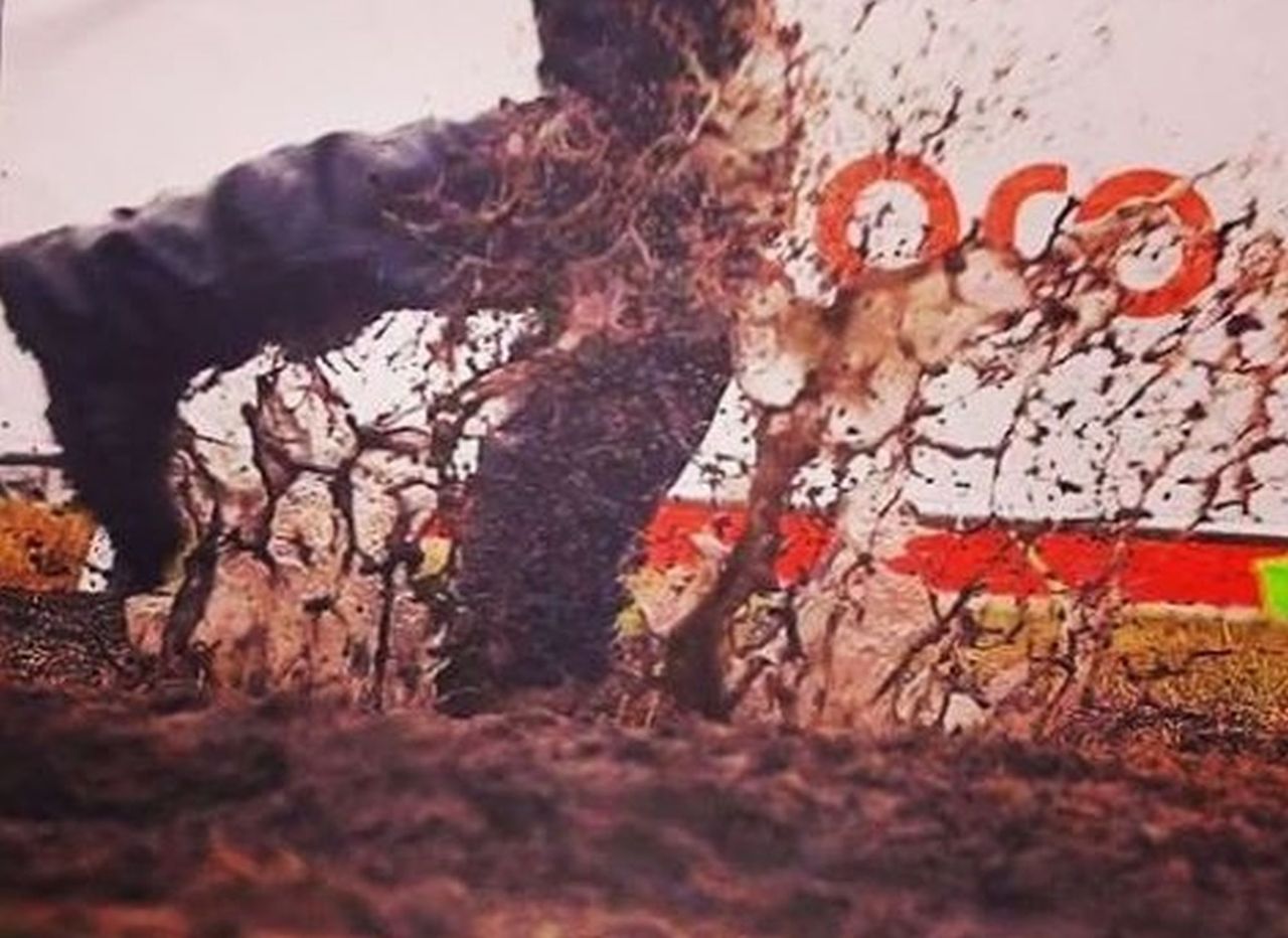 "Pada, ale damy radę". Woodstock w strugach deszczu