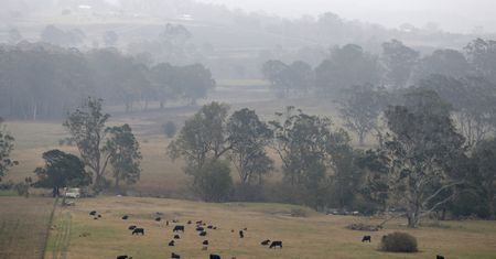 Australia walczy z pożarami. Pojawił się deszcz i nowe zagrożenie