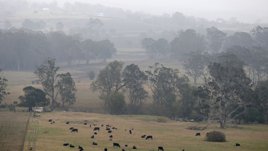 Australia. W końcu pojawił się deszcz