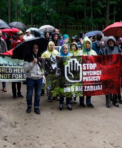 Jest data posiedzenia Trybunału UE ws. Puszczy Białowieskiej