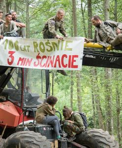 Henryk Kowalczyk uchyla decyzję ws. Puszczy Białowieskiej. Drzewa z kornikami zostaną