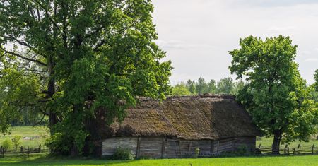 Kierunek przygoda: Przez ostępy Puszczy Knyszyńskiej