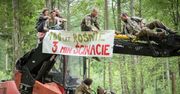 NIK publikuje raport krytykujący słabą ochronę Puszczy Białowieskiej. Lasy Państwowe odpowiadają