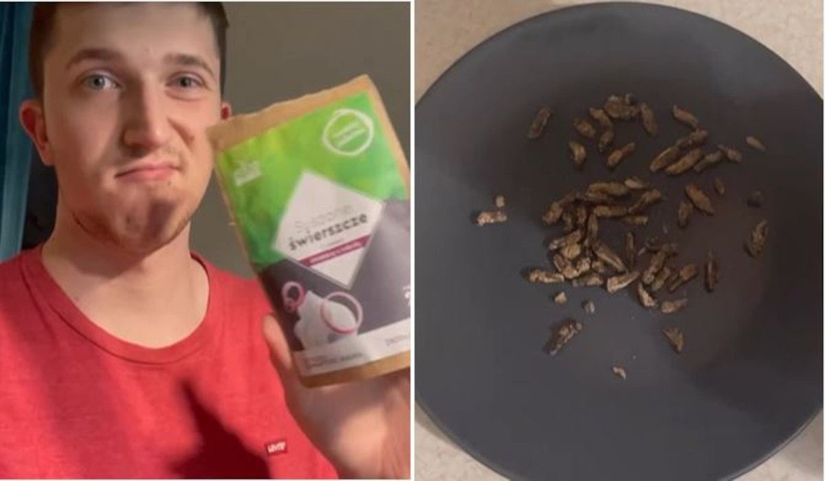 Sprawdził, jak smakują suszone świerszcze. Jego słowa nie pozostawiają złudzeń