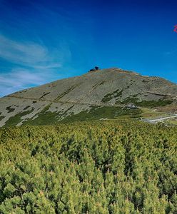 Kasprowy Wierch. Cennik. Menu na wysokościach