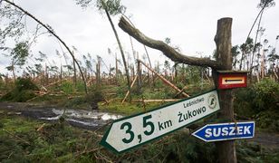 Śledztwo ws. tragedii w Suszku. Czy można było tego uniknąć?