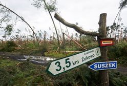 Do Łodzi wrócili harcerze, którzy przebywali na obozie w Suszku