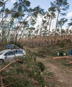 Pierwsze zarzuty ws. śmierci harcerek. 67-latkowi grozi więzienie