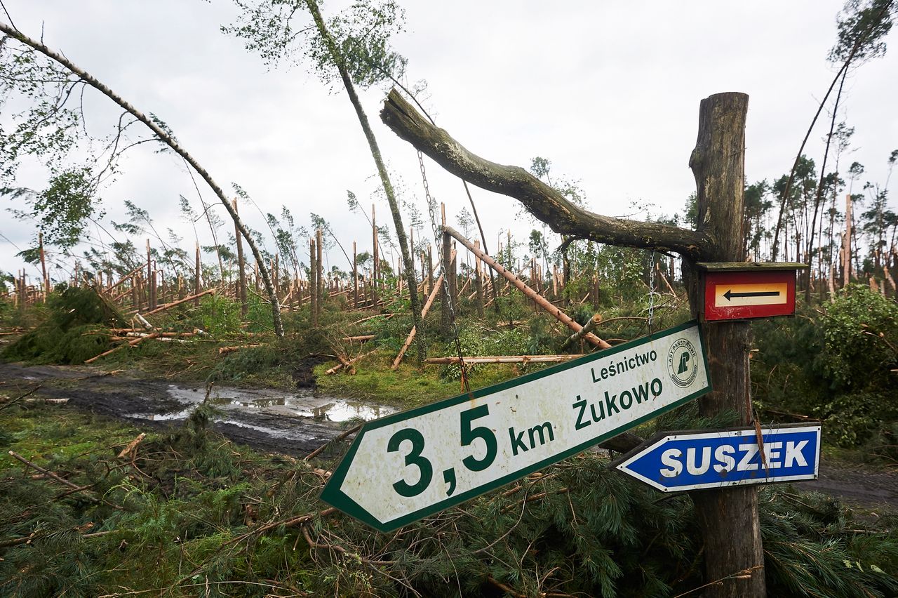 Tragedia w Suszku. Prokuratura postawiła zarzut meteorologowi