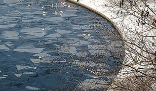 Śnieżny puch w Krakowie