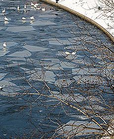 Śnieżny puch w Krakowie