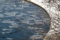 Śnieżny puch w Krakowie