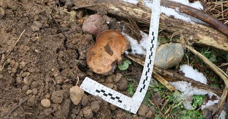 Czaszka dziecka na hałdzie piachu. Prokuratura weszła na plac budowy