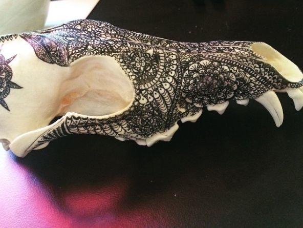 Zdobiąc czaszki zwierząt, oddaje im hołd