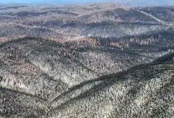 Strażacka zbiórka na odbudowę Parku Kościuszki w Australii. Ambasador dziękuje