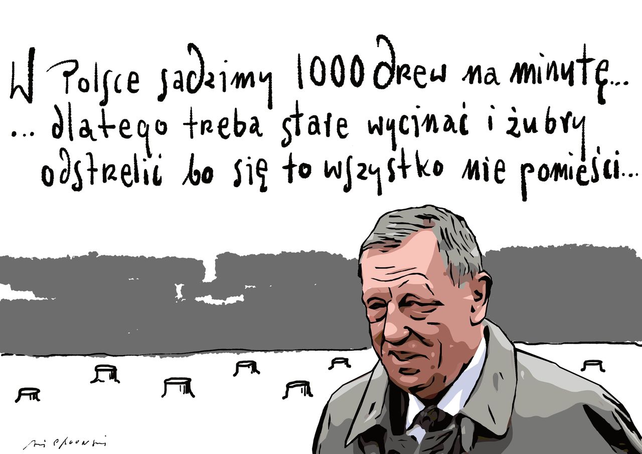 Imponujące tempo zalesiania Polski? Wiadomo, dlaczego Szyszko chce pozbyć się drzew i żubrów