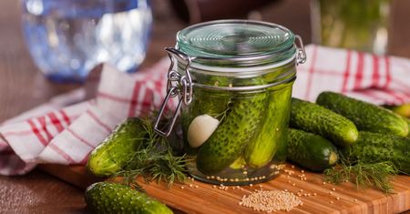 Ogórki kiszone a kwaszone. Zobacz czym się różnią, by ich nie pomylić