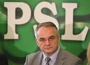 PSL za referendum ws. elektrowni atomowych w Polsce