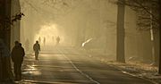 Smog w woj. śląskim. Dopuszczalne stężenia wyższe o 400 proc.