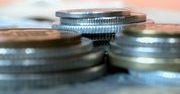 Po przyjęciu euro RPP może działać jako organ doradczy