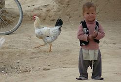 Pomoc w obozie uchodźców