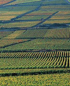 Rozwiązanie w sprawie KRUS coraz bliżej?