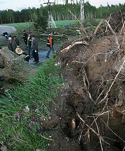 Zmarł 14-latek przygnieciony drzewem