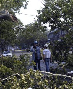 Deszcz sparaliżował Nowy Jork