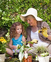 Działkowcy: ogrody nie powinny być miejscem do uprawiania polityki
