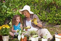 Działkowcy: ogrody nie powinny być miejscem do uprawiania polityki