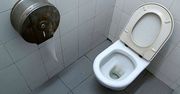 Unijne wytyczne w sprawie toalet