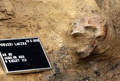 To zdarzyło się w Polsce!