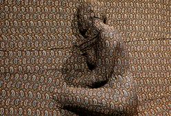 To zdarzyło się w Polsce!