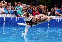 To zdarzyło się w Polsce!